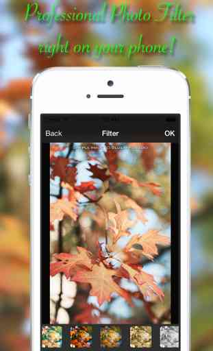 HaloPhoto - Awesome Photo Editor & Insta Beauty Filters with Captions and Stickers 1