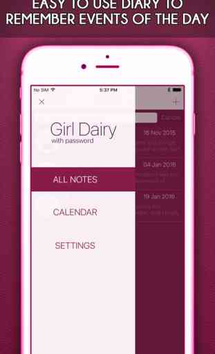Girl Diary With Password Pro 2