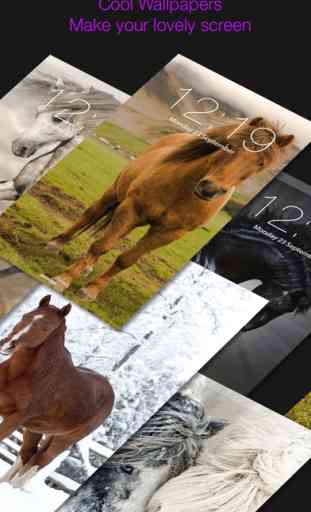 Horse Backgrounds Lock screen Themes Collection 1