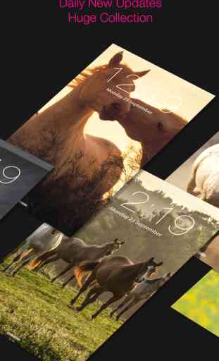 Horse Backgrounds Lock screen Themes Collection 2