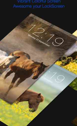 Horse Backgrounds Lock screen Themes Collection 3