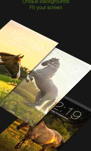 Horse Backgrounds Lock screen Themes Collection 4