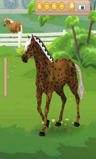 Mary's Horse Dress up 2 - Dress up  and make up game for people who love horse games 2