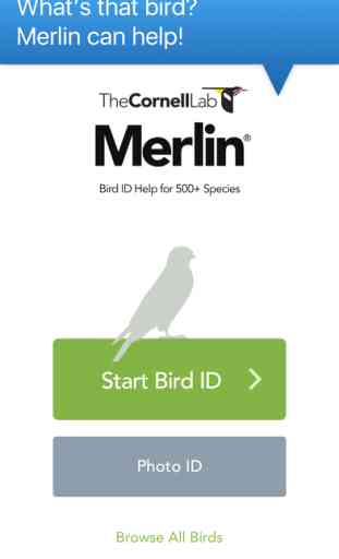 Merlin Bird ID by Cornell Lab of Ornithology 1