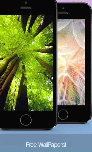 Nature Wallpapers, Themes and Backgrounds - Free HD Images for iPhone and iPod 2