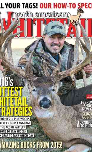 North American Whitetail 1