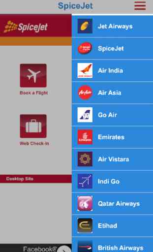 Indian Airlines 3