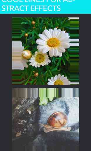 PicFit - White Borders, Black Frames & Blurred Background for Square Photos 2