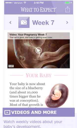Pregnancy & Baby | What to Expect 2