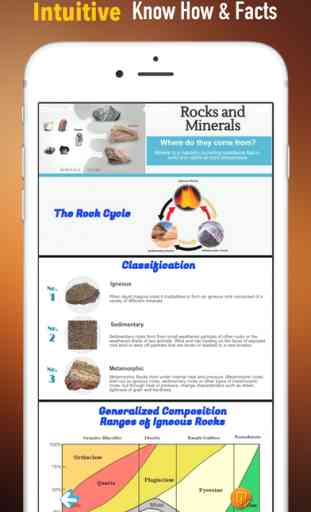Rocks And Minerals:National Geographic Pocket 1