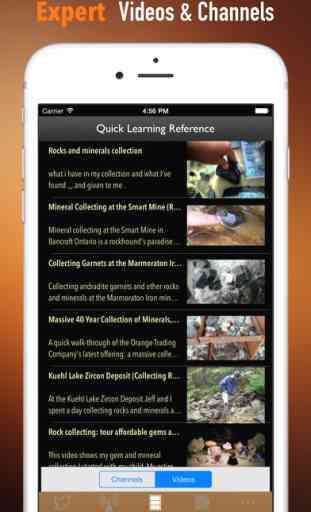 Rocks And Minerals:National Geographic Pocket 3