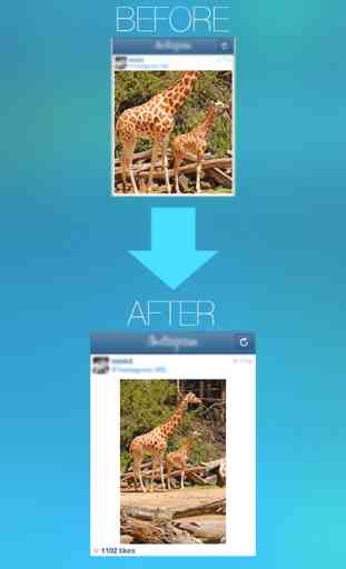 Square FX with Shapes - Photo Editor for Instagram 2