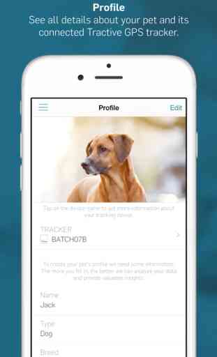 Tractive GPS Pet Finder-Never lose your dog again 4