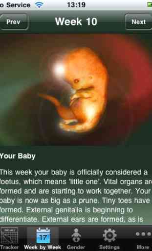 Baby Pregnancy Tracker (Lite) 2