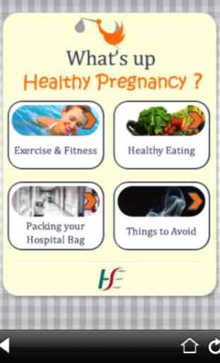 What's Up Healthy Pregnancy 1