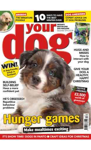 Your Dog – Britain’s best-selling dog magazine 1