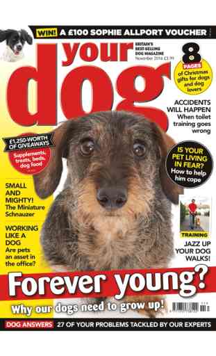 Your Dog – Britain’s best-selling dog magazine 2