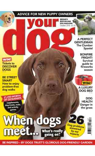 Your Dog – Britain’s best-selling dog magazine 3