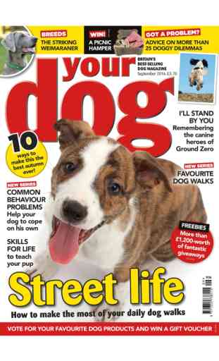 Your Dog – Britain’s best-selling dog magazine 4