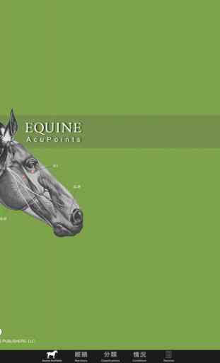 Equine AcuPoints 3