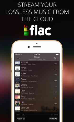 Flacbox - FLAC Player & Music Streamer 1