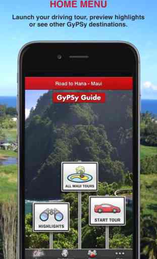 Road to Hana GyPSy Driving Tour 4