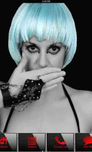 Lady Gaga Tribute Act,Totally Gaga. 4