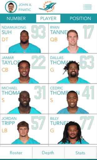 Official Miami Dolphins 3