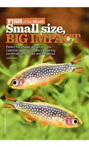 Practical Fish Keeping Magazine (PFK) Hints & tips 1
