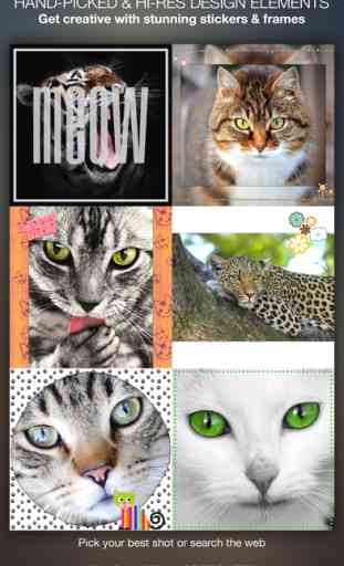 Insta Meow : Pic Framing for Cat Lovers  - Well designed photo frames and stickers 1