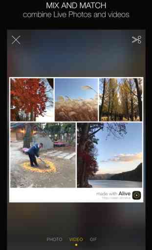 Alive - Create & Share Animated Collages for Live Photos and Videos 3