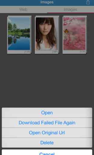 Awesome Web Image Collector Lite 4