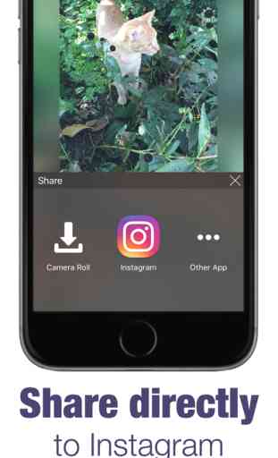 Blurb for Instagram - blur your photos 2