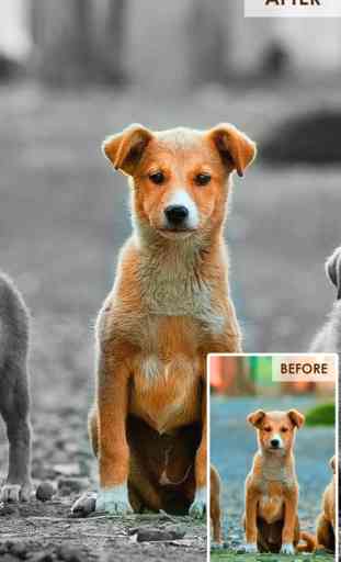 Color Highlight - Recolor Grayscale Photo Editor Free 3