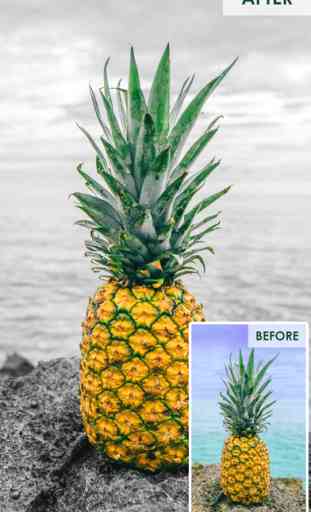Color Highlight - Recolor Grayscale Photo Editor Free 4