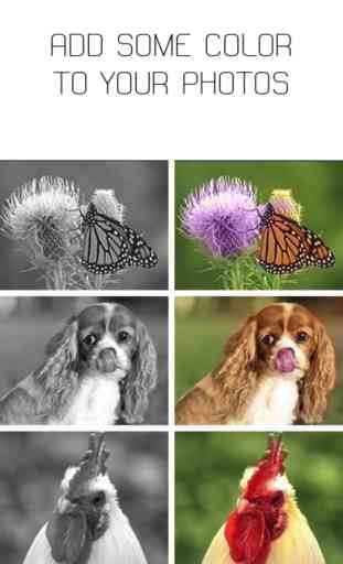 Colorize - Automatically Colorize Black and White Photos 3