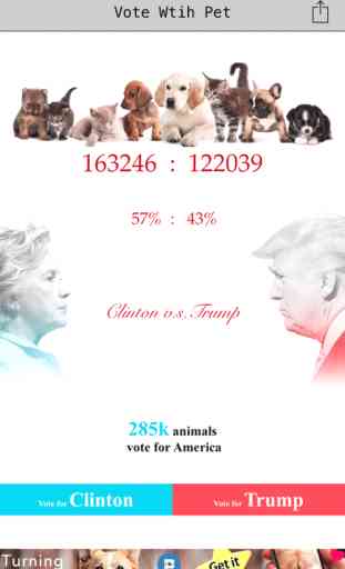 Election 2016 - Vote with pet Gifs 1