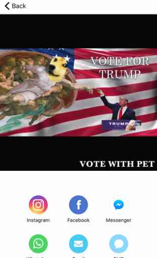 Election 2016 - Vote with pet Gifs 4