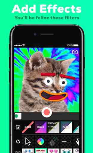 GIPHY CAM. The GIF Camera 1