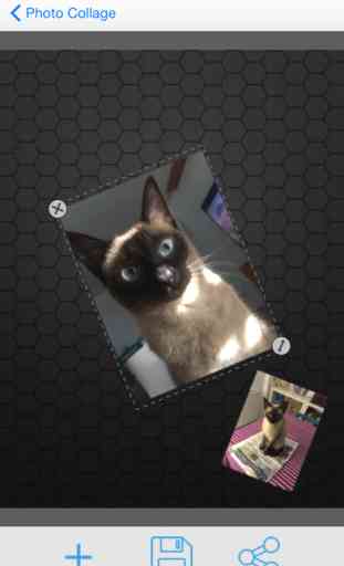 Photo Collage Editor Grid Maker - Edit your picture adding more pictures and photos 2
