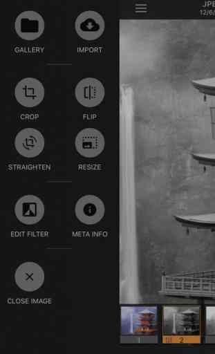 LineEngraver: Greyscale Photography Lite 2