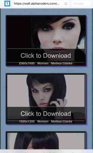 Photofile - Web image browser and photo downloader 2