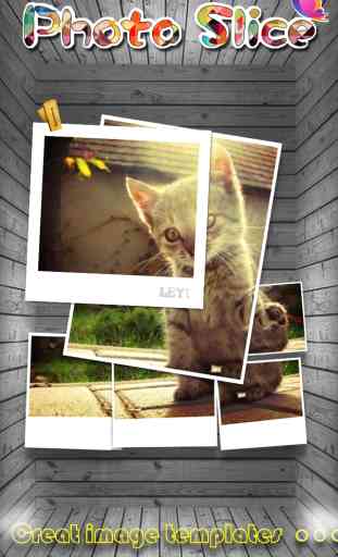 Pic Slice Free – Picture Collage, Effects Studio & Photo Editor 1
