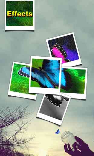 Pic Slice Free – Picture Collage, Effects Studio & Photo Editor 3