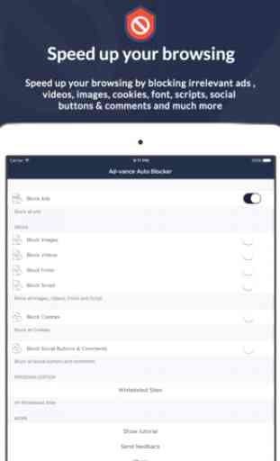 Ad-vance Auto Blocker - Privacy, Scripts, Plus Social Content Filter for Safari 4
