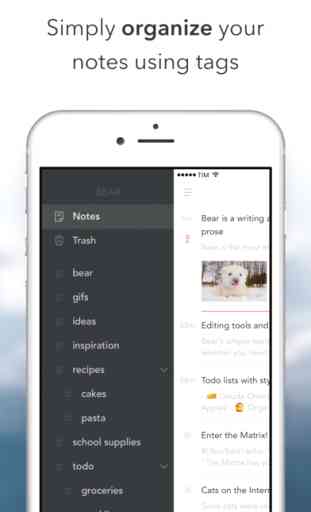Bear - beautiful writing app for notes and prose 3