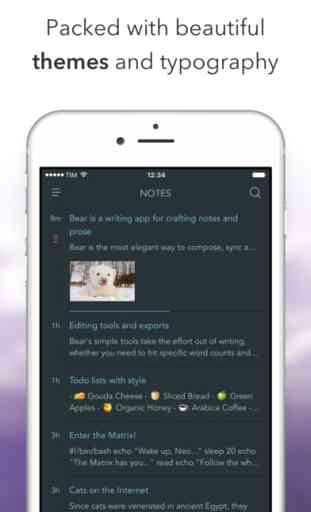 Bear - beautiful writing app for notes and prose 4