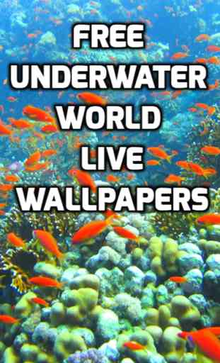 Underwater World Livewallpaper 1