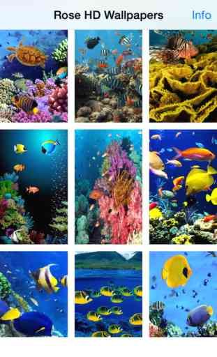 Underwater World Livewallpaper 2