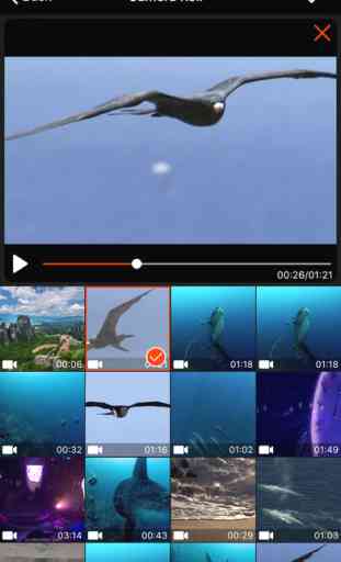 Video Crop - Crop and Resize Video 1